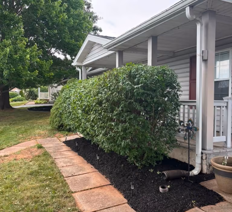 Trimmed shrubs and fresh black mulch beside a home's entry walkway, completed by Trava Landscaping